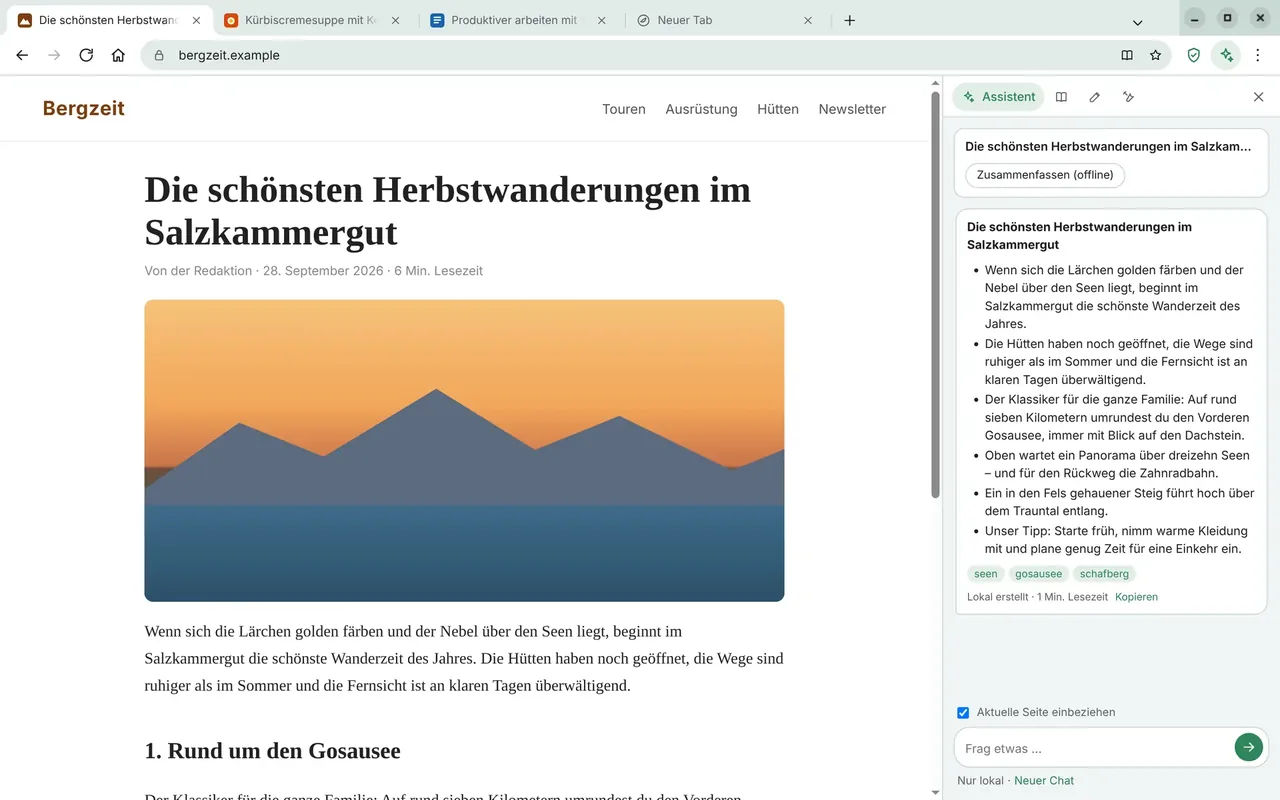 Ervo-Browser Screenshot